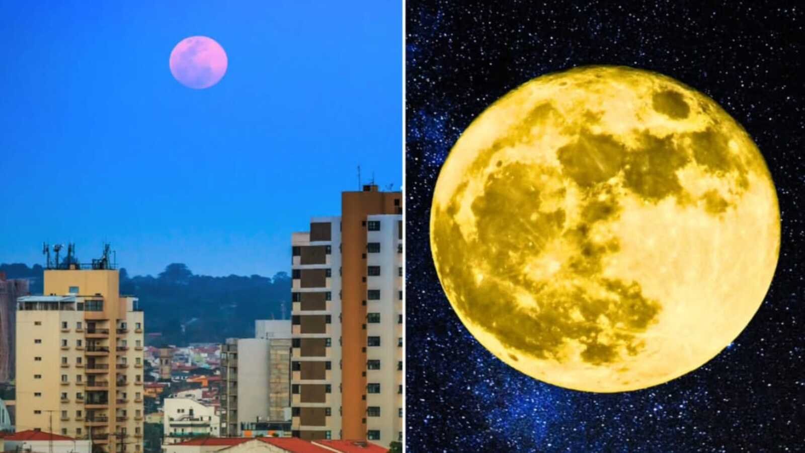 Superlua do veado sorocabanices