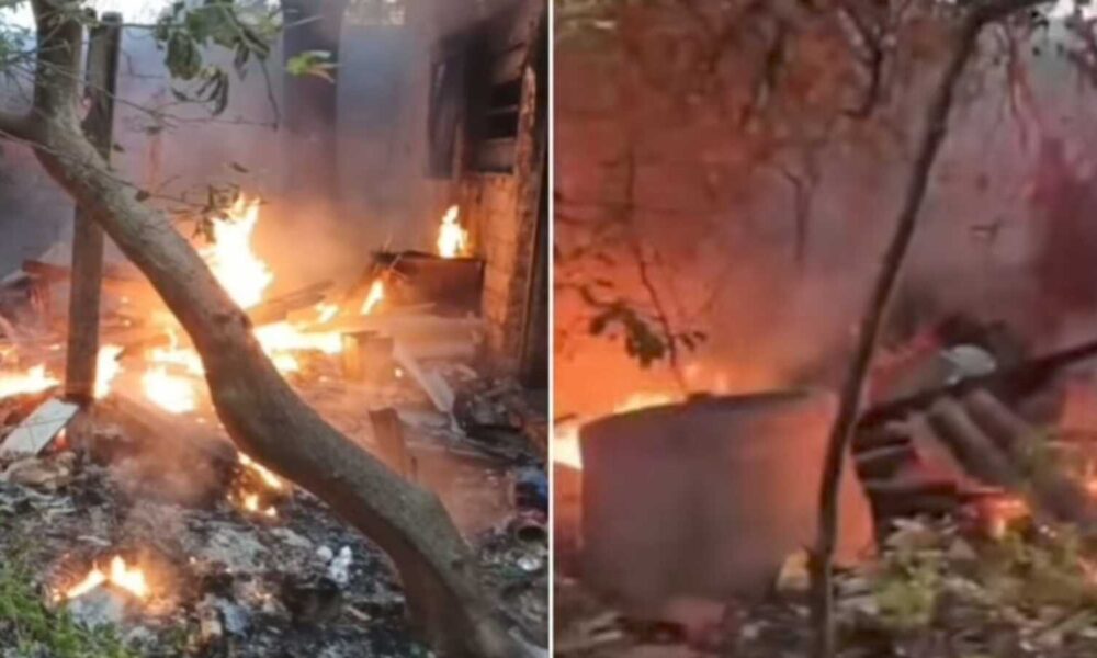 48c0d62c 3e62 4a0d b11d c12e7eb10bb0   sorocabanices