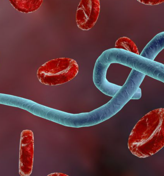 Blue wormlike parasite twisting among red blood cells with a dark red background in a blood sample image