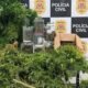 Police display cannabis plants and jars of dried buds on a table with a Polícia Civil backdrop seized drugs