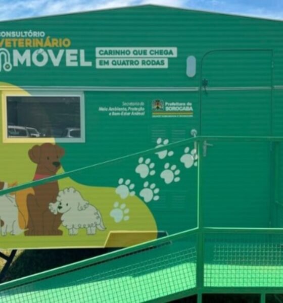Mobile veterinary clinic trailer in green with dog artwork and white paw prints slogan reads Consultório Veterinário Móvel and Carinho que chega em quatro rodas Brazilian veterinary service