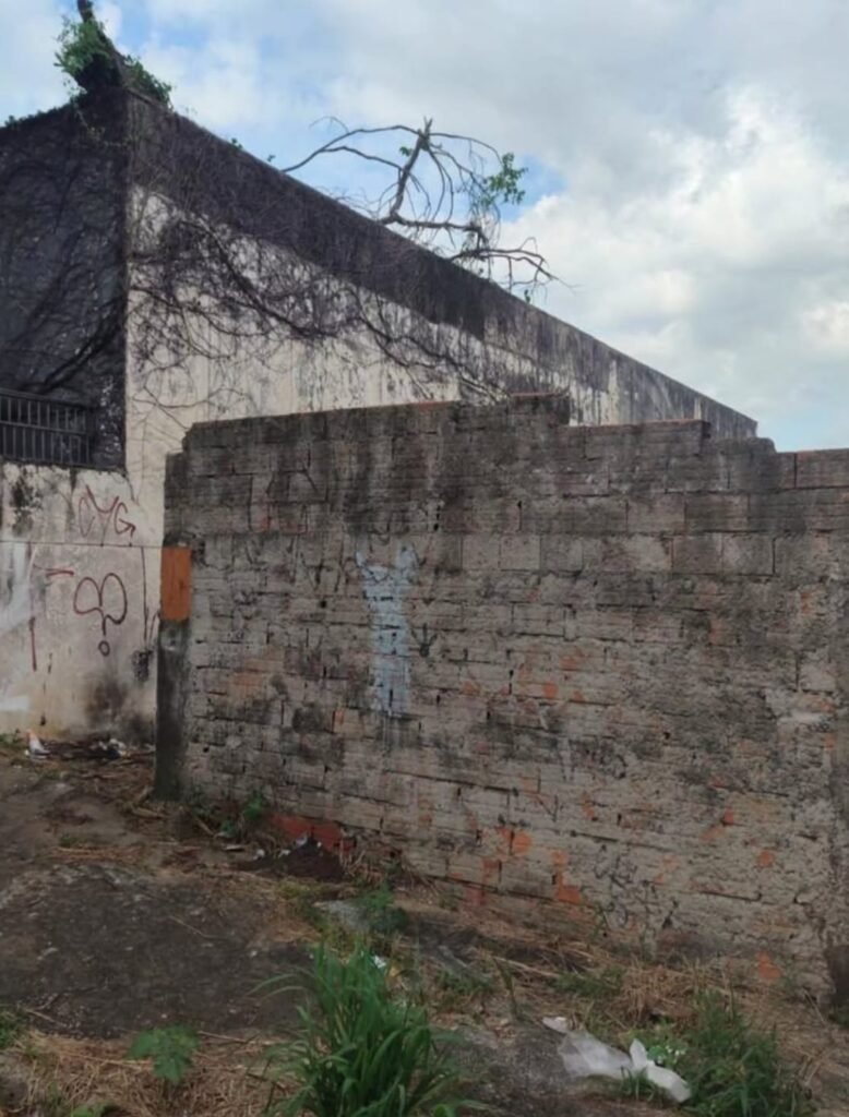 Weathered brick wall with graffiti overgrown ground plants and a taller wall behind a leafless branch protrudes from the top against a cloudy sky
