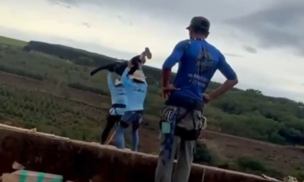 Two people in climbing harnesses on a ledge, one raising arms as if throwing a rope, with a countryside landscape in the background