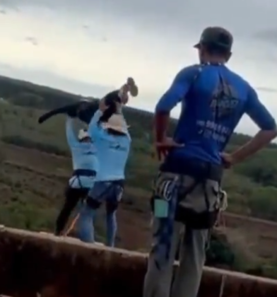 Two people in climbing harnesses on a ledge one raising arms as if throwing a rope with a countryside landscape in the background