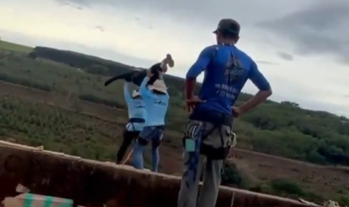 Two people in climbing harnesses on a ledge one raising arms as if throwing a rope with a countryside landscape in the background