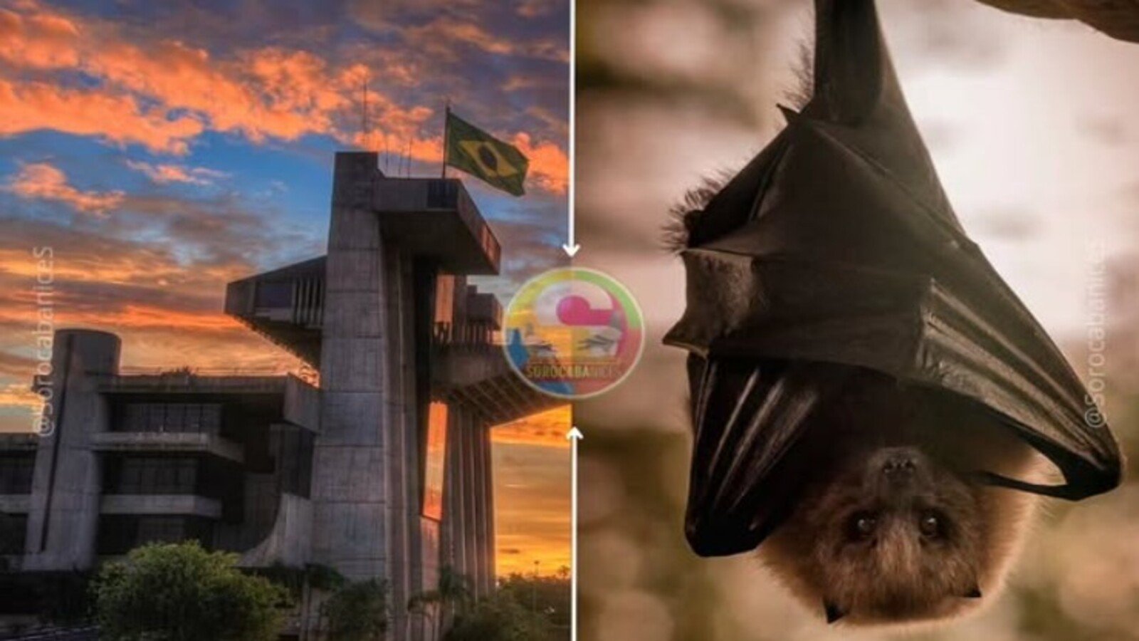 Split image Brasília National Congress at sunset on the left a bat in a black cape on the right center circular colorful logo