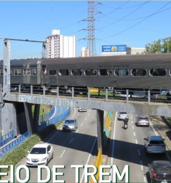 Passenger train on an elevated bridge crossing a busy road with cars driving beneath and city buildings in the background