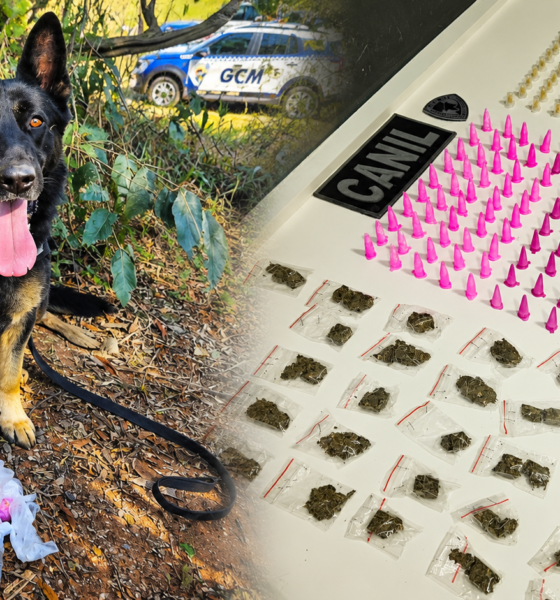 A black and tan German Shepherd on a leash sits beside scattered plastic bags of evidence on the ground with a patrol car in the background