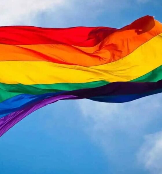 Rainbow Pride flag waving against a blue sky symbolizing LGBTQ pride and diversity