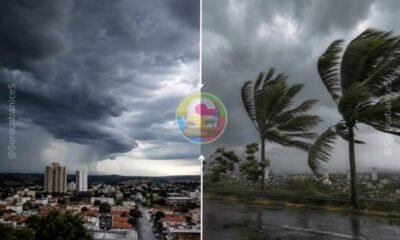 Split view left side shows a city under dark storm clouds right side shows wind swept palm trees and a rain soaked road with a stormy sky centered by a circular logo