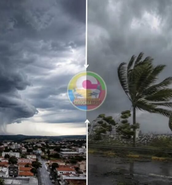 Split view left side shows a city under dark storm clouds right side shows wind swept palm trees and a rain soaked road with a stormy sky centered by a circular logo