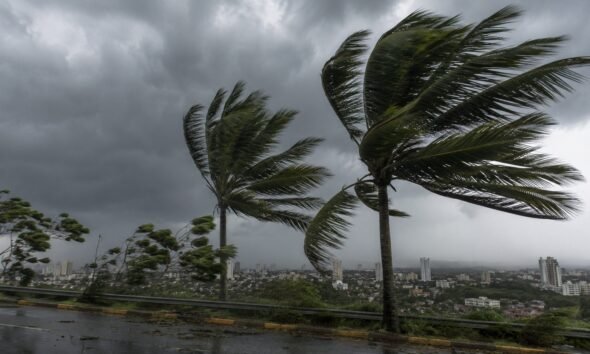 Palm trees bending in strong wind over a rain slick highway with a stormy urban skyline in the background